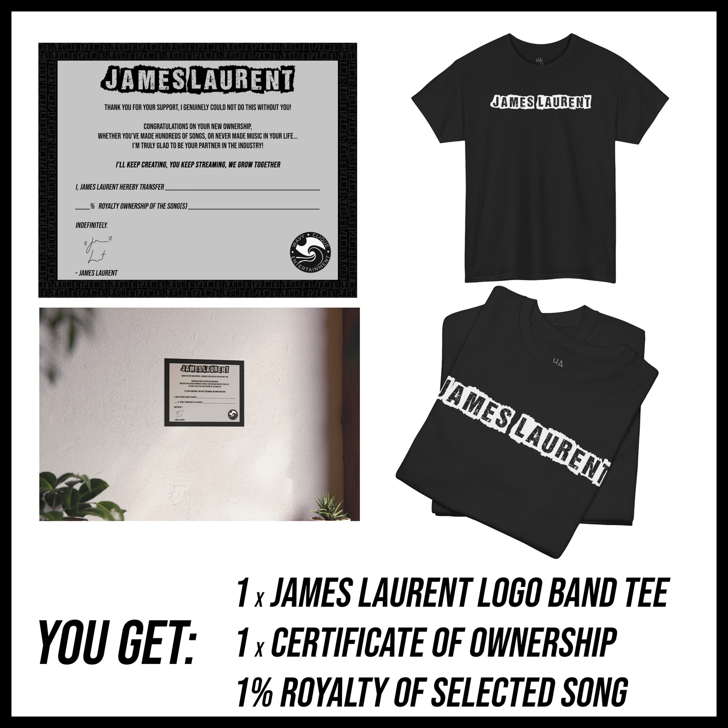 Get paid to Listen! - Royalty Percentage Partner Package